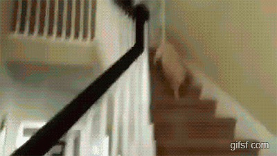 주인님이 부른다아ㅏㅏ미ㅁㅇ러ㅏ어라.gif | 인스티즈