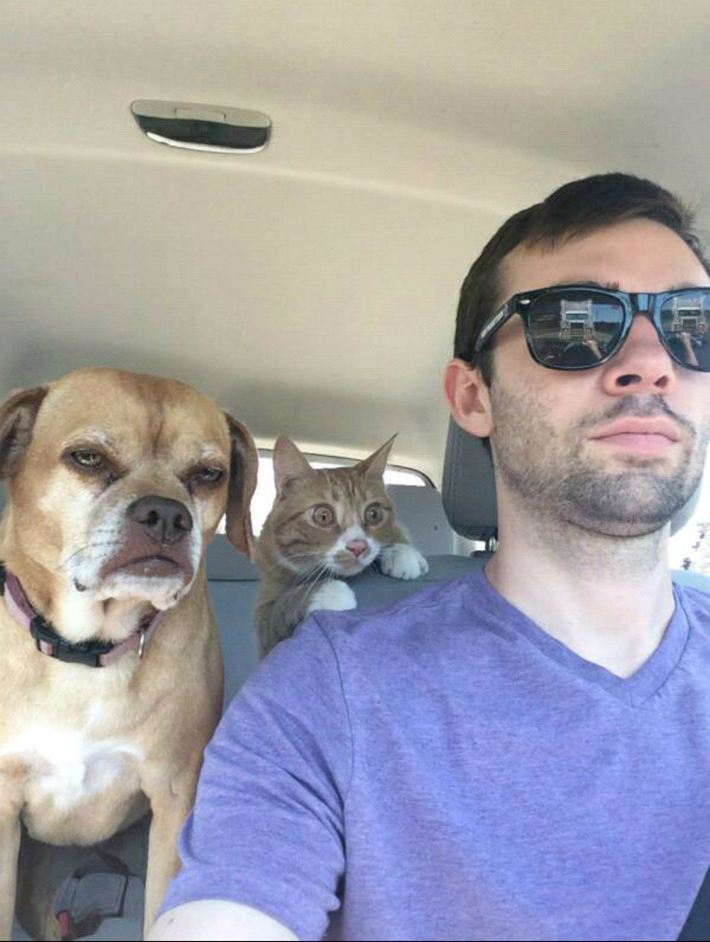 주인님이 오늘 면허를 땄다.jpg | 인스티즈